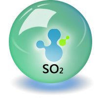 二氧化硫标准气